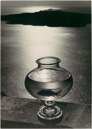 https://franceslivings.com/poetry/goldfish-bowl/herbert-list-goldfish-bowl-santorini-greece-1937-gelatin-silver-print