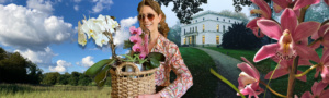Basket with orchids, Jenisch Haus, Jenisch Park, clouds, blue sky orchids