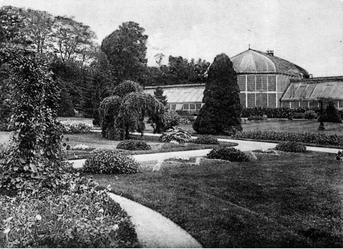 Jenisch Park, greenhouses, Postcard from 1908